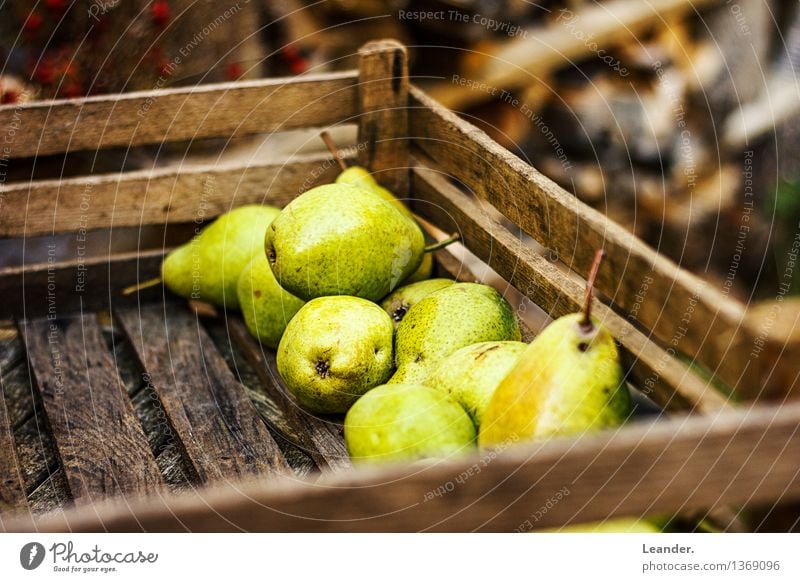 Birnen II Umwelt Natur Schönes Wetter Pflanze Garten Dekoration & Verzierung Appetit & Hunger Idee Inspiration Herbst Sommer Kiste Essen lecker authentisch