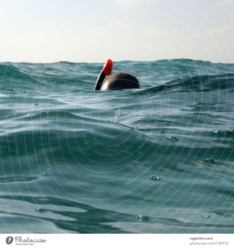 MR. SNORKEL Schnorcheln Tauchgerät tauchen Malediven Indien Meer Wasseroberfläche entdecken untersuchen Im Wasser treiben Wellen Ferien & Urlaub & Reisen