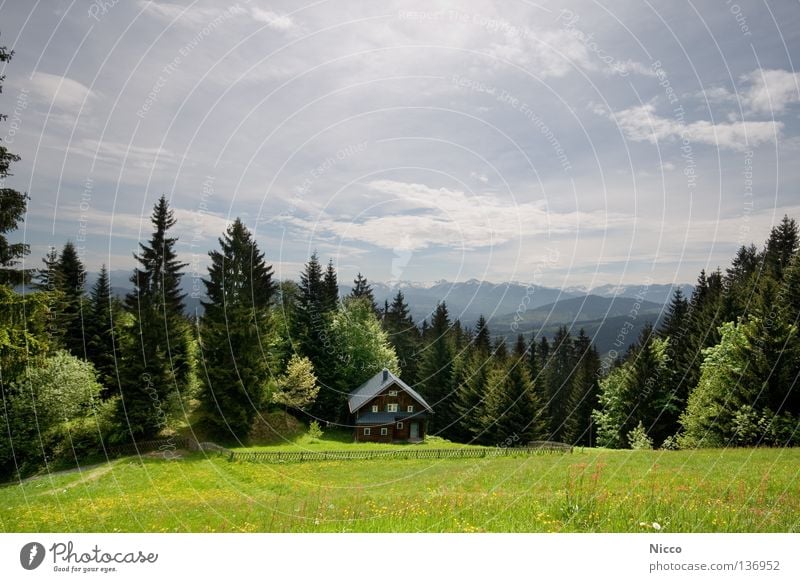 Bergweltpanoramaaussicht Österreich Bregenz Bergkette Gipfel Haus Berghütte Hexenhaus Tanne Wald Baum Nadelbaum Wiese Blume Blumenwiese Wolken Gegenlicht