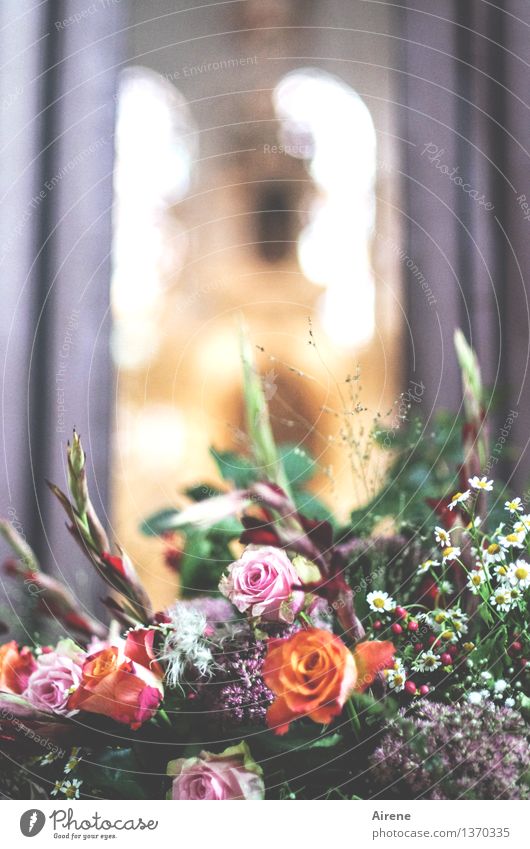 Andacht Rose Blumenstrauß Blumenschmuck Kirche Kirchenfenster Religion & Glaube Kirchenraum Kirchenschiff Altar Duft orange rosa Liebe Romantik ästhetisch Tod