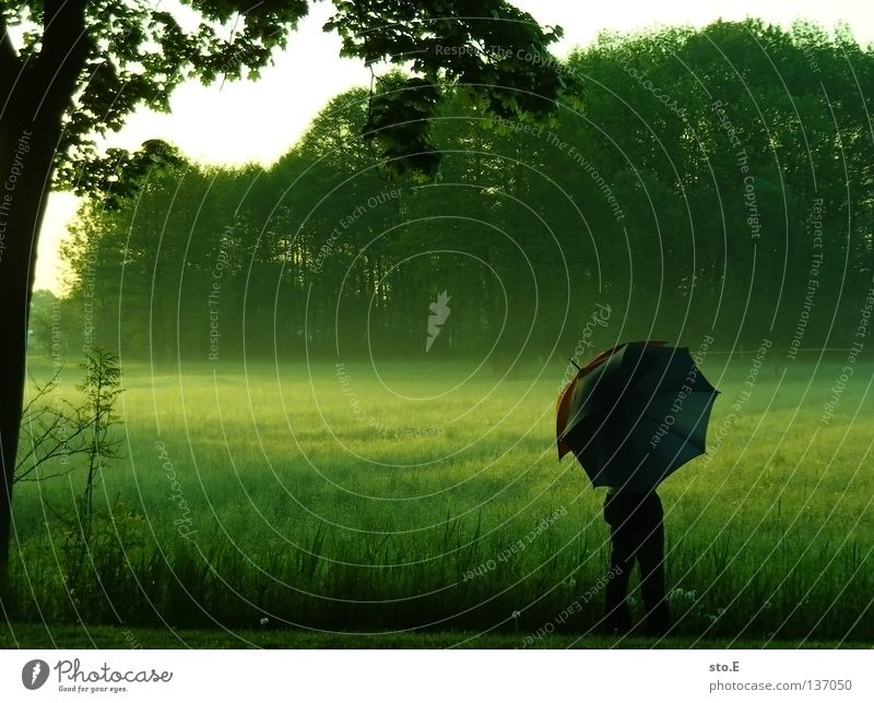 early morning | umbrella pt.3 Kerl Mann maskulin Stimmung Körperhaltung Lampe Wiese Feld Ferne Sonnenaufgang Morgen Baum Baumkrone Blatt Horizont Silhouette