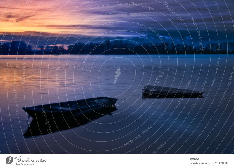 Untergang Abenddämmerung abgelegen Angeln Baggersee Baum beschaulich Wasserfahrzeug Einsamkeit Erholung dunkel Fischerboot ruhig Horizont Denken Ruderboot