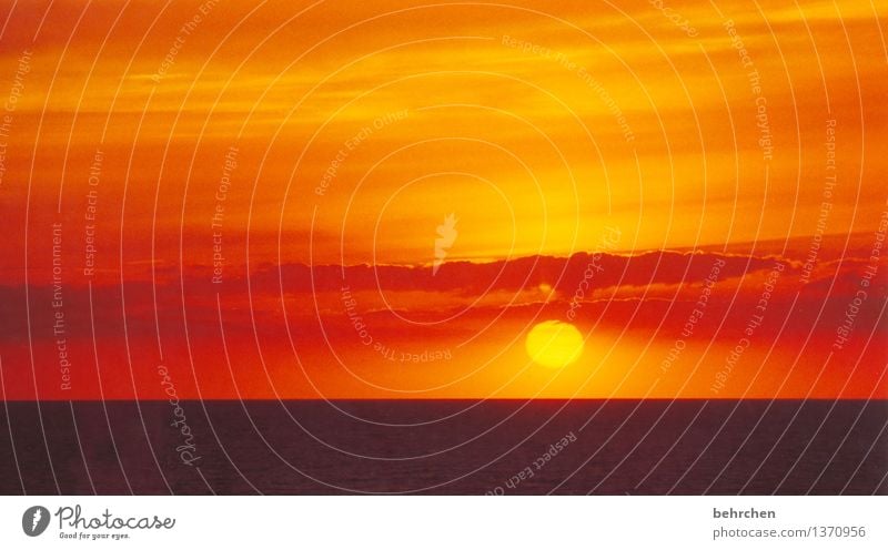 für frühaufsteher Ferien & Urlaub & Reisen Tourismus Abenteuer Ferne Freiheit Sommer Sommerurlaub Sonne Strand Meer Wellen Himmel Wolken Frühling Schönes Wetter