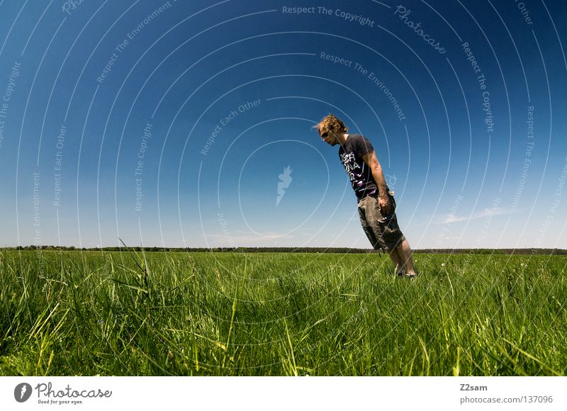 sunny sunday - schräglage quer bewegungslos stehen verrückt Zufriedenheit April Erholung genießen Gras grün hell-blau Mann maskulin Mütze ruhen Himmel Sommer