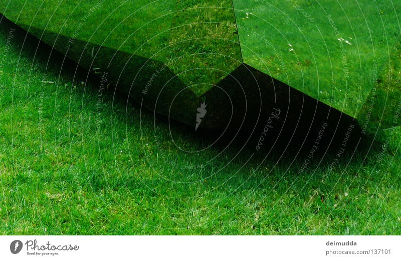 Wiese grün Spiegel Reflexion & Spiegelung Blume schön Ecke eckig schwarz dunkel Sommer Geas Reflektion Natur Surrealismus Spitze Schatten unnormal