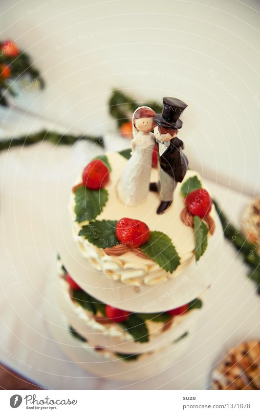 Das Sahnehäubchen Lebensmittel Kuchen Dessert Süßwaren Ernährung Essen Festessen Freude Glück Feste & Feiern Hochzeit Puppe genießen Liebe Zusammensein niedlich