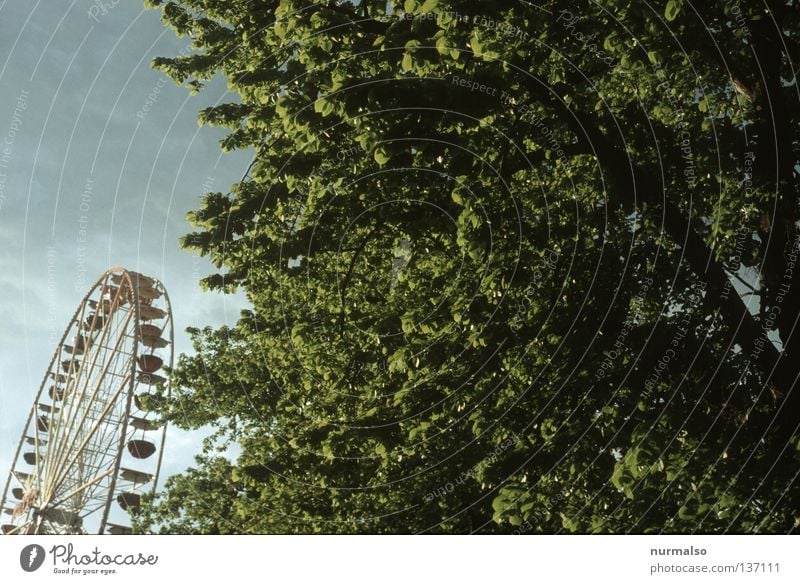 Spass gegen Natur Jahrmarkt Riesenrad Krach Losbude unerträglich Gitter Freude zerstören unnatürlich Alkoholisiert schwindelig drehen Baum Frühling Havelland