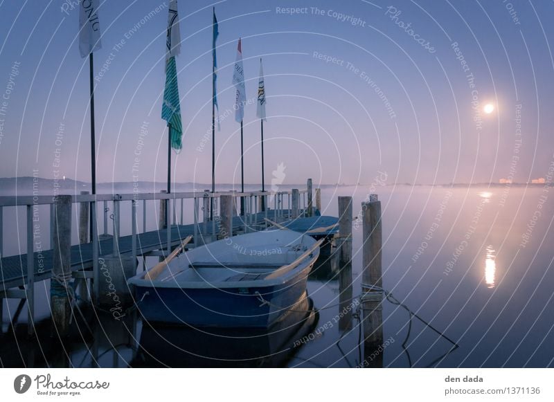 Blutmondnacht Müggelsee Berlin Ferne Wasser Wolkenloser Himmel Nachthimmel Mond Mondfinsternis Vollmond Nebel See Menschenleer Ruderboot Hafen Steg Fahnenmast