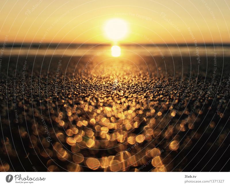 Sylt - ist nicht alles Gold, was glänzt elegant Glück Wohlgefühl Erholung Natur Landschaft Sand Horizont Sonnenaufgang Sonnenuntergang Sommer Wetter