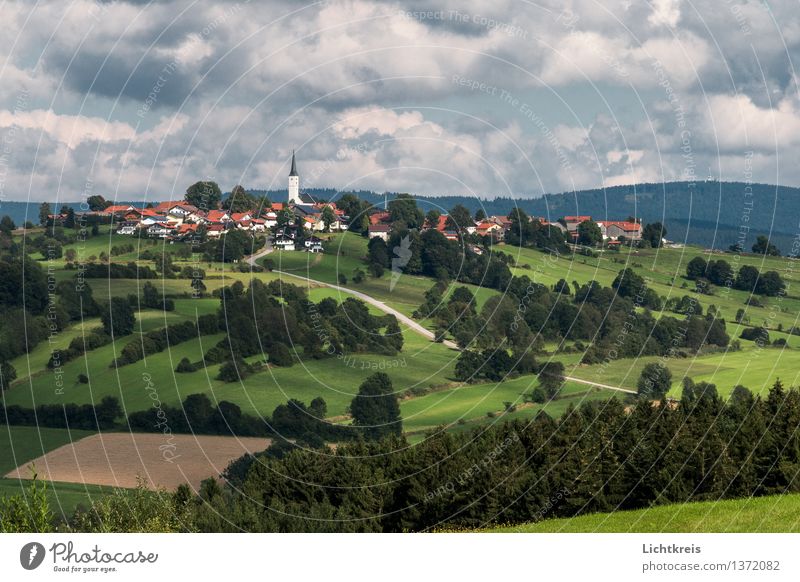 Bergdorf Landschaft Wolken Sommer Baum Gras Nutzpflanze Feld Hügel Dorf Haus Kirche Straße Zufriedenheit Sicherheit Geborgenheit Zukunftsangst