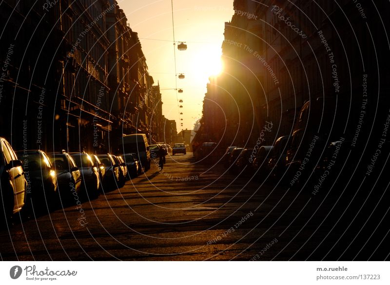 louisenstraße Gegenlicht Dresden Licht blenden Sehnsucht Himmelskörper & Weltall Dinge Luisenstraße Sonne Aprilsonne Straße Schatten PKW Reflexion & Spiegelung