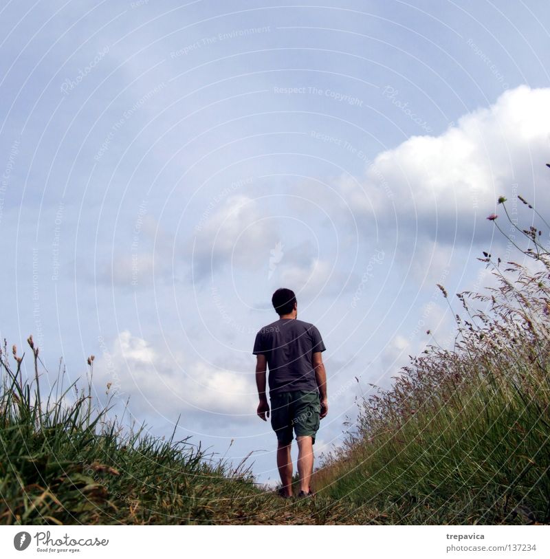 wochenende I Reihe Sommer Wiese Blume Pflanze Himmel Ferien & Urlaub & Reisen angenehm Physik Feld Wolken Umwelt ökologisch Spaziergang Mann umweltfreundlich