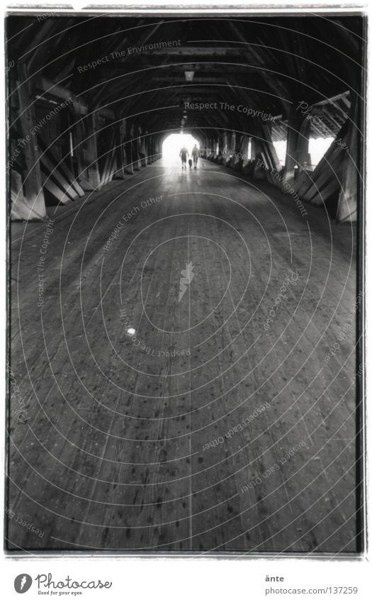 das Licht am Ende des Tunnels Holzbrücke historisch Denkmalschutz Nostalgie zielstrebig Hoffnung Brücke Straße Wege & Pfade Ziel Tod Nahtoderlebnis Olten