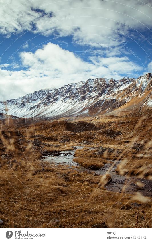 Bach Umwelt Natur Landschaft Herbst Klima Wetter Schönes Wetter Schnee Wiese Alpen Berge u. Gebirge Gipfel Schneebedeckte Gipfel natürlich blau braun Schweiz