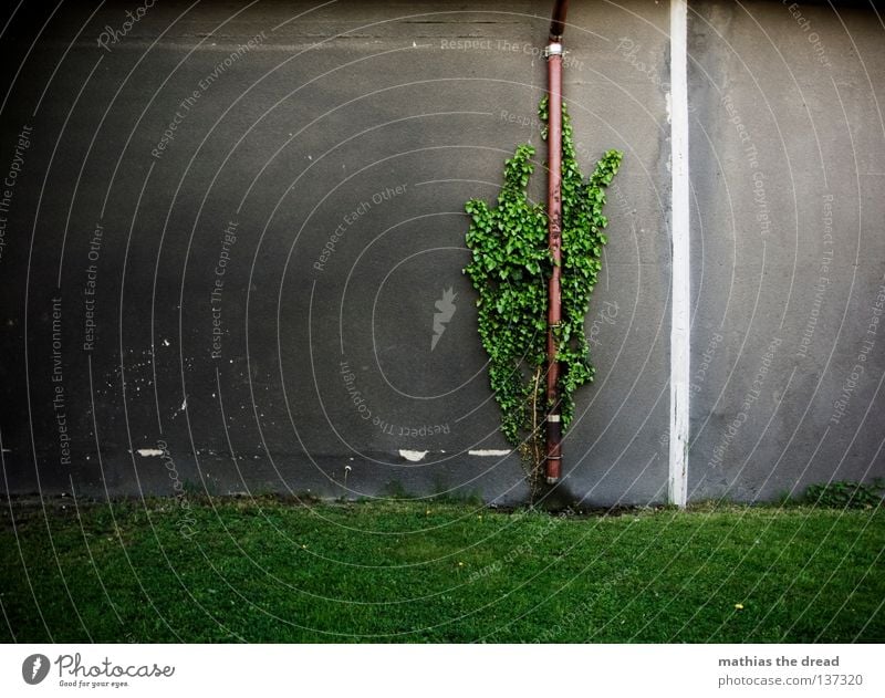 ZURÜCKEROBERUNG Wand Fassade Putz Pore hart Schutzschicht vertikal Haus Gebäude grau trist einfarbig dunkel Schatten Streifen weiß Loch Fallrohr Abwasser