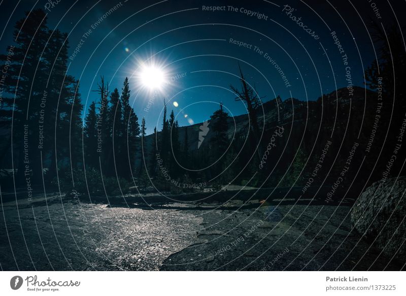 Vollmond Wohlgefühl Zufriedenheit Erholung Ferien & Urlaub & Reisen Ausflug Abenteuer Ferne Freiheit Camping Umwelt Natur Landschaft Urelemente Himmel