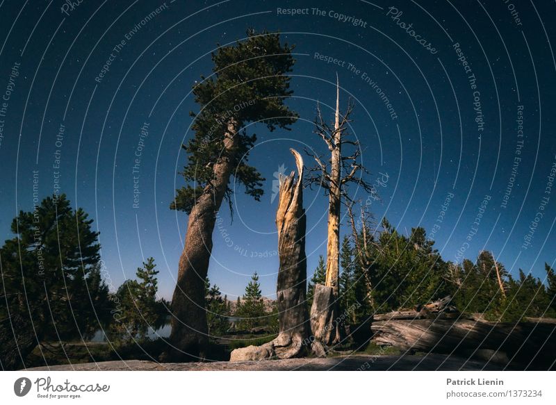 Mondlicht Ferien & Urlaub & Reisen Ausflug Abenteuer Ferne Freiheit Sommer Berge u. Gebirge wandern Umwelt Natur Landschaft Himmel Wolkenloser Himmel