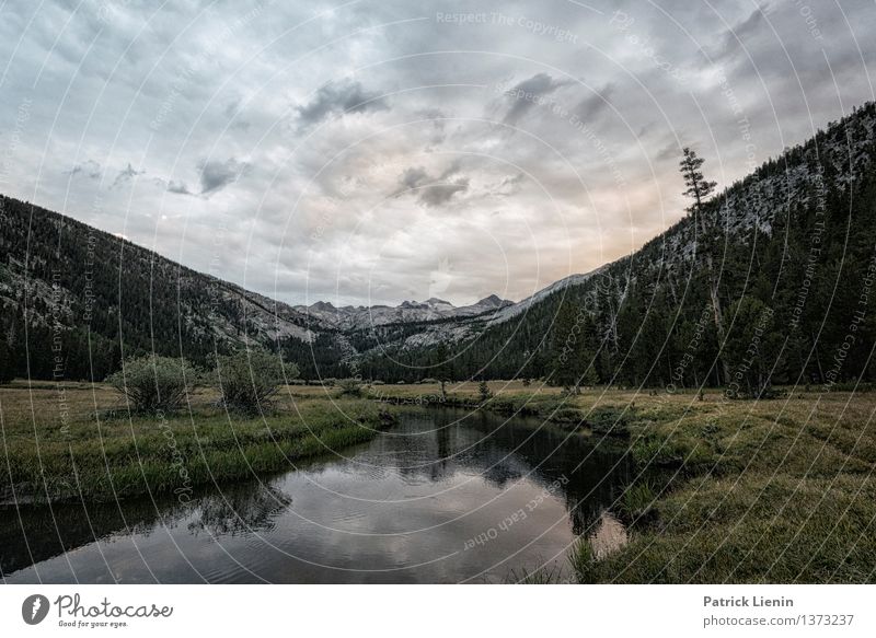 Donohue Pass Wohlgefühl Zufriedenheit Sinnesorgane Erholung ruhig Meditation Ferien & Urlaub & Reisen Berge u. Gebirge wandern Umwelt Natur Landschaft