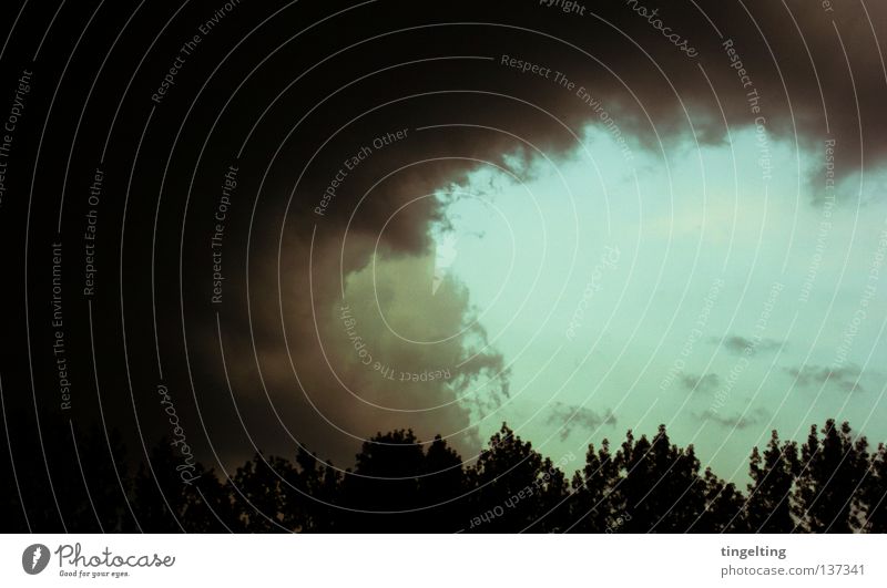 das große schwarze Wolken Gewitterwolken bedrohlich Baum Horizont Ferne dunkel Himmel blau Kontrast Natur