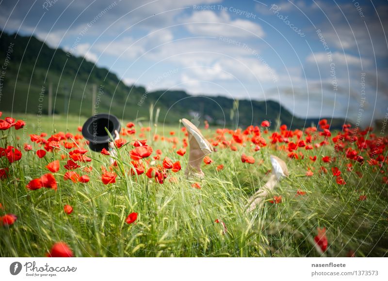 Having fun in the field Lifestyle Freude Mensch maskulin feminin Junge Frau Jugendliche Junger Mann Erwachsene Paar Partner Leben Beine Fuß 2 18-30 Jahre