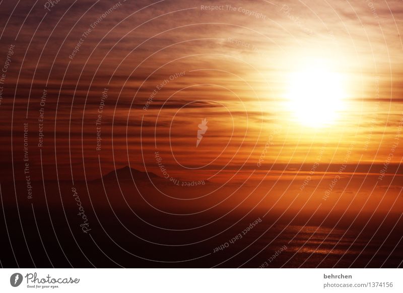 carpe diem Ferien & Urlaub & Reisen Tourismus Ausflug Abenteuer Ferne Freiheit Himmel Wolken Sonnenaufgang Sonnenuntergang Frühling Sommer Schönes Wetter