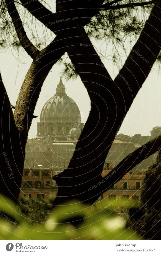 durchblick Rom Chiesa San Pietro Vatikan Petersdom Wetter heilig Katholizismus Baum Durchblick Park Hügel Licht Gotteshäuser monte pincio ewige stadt