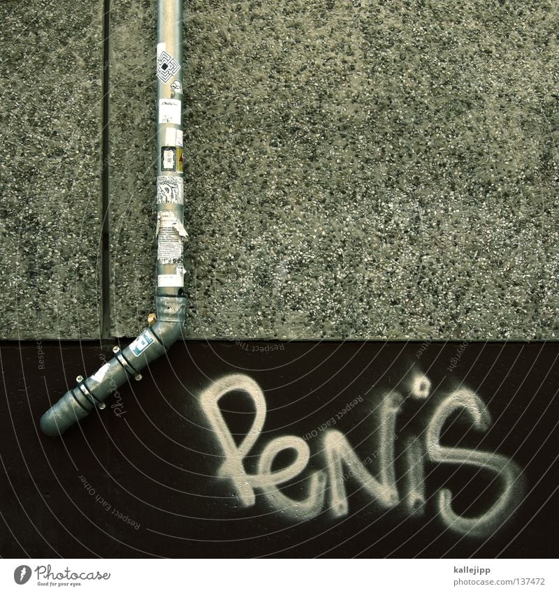 volles rohr Penis Schwanz Mann maskulin Dinge Glocke Wand Typographie steil Aluminium Beton Genitalsystem Erotik Unsinn Graffiti Wandmalereien dödel dong