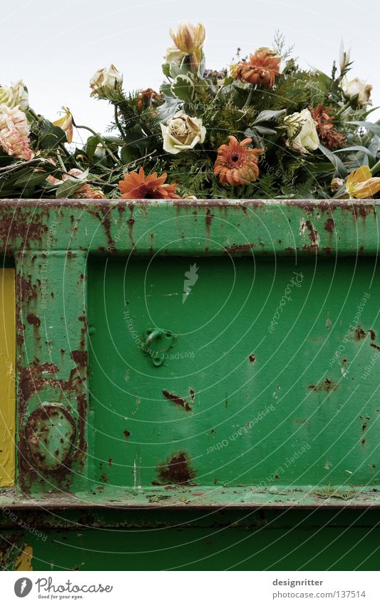 vergänglich schön Blume Blumenstrauß Gesteck Müll Biomüll Rest Tod welk Schmuck verschönern geschmückt hässlich Aufgabe resignieren Müllbehälter frisch