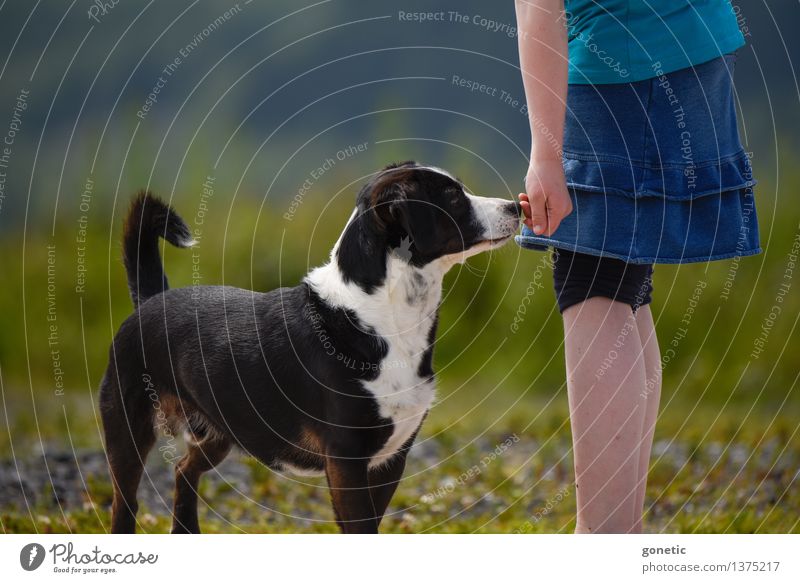 Freundschaft für's Leben! Kind Mädchen Hand 1 Mensch 3-8 Jahre Kindheit Umwelt Natur Landschaft Pflanze Tier Haustier Hund Stimmung Glück Warmherzigkeit