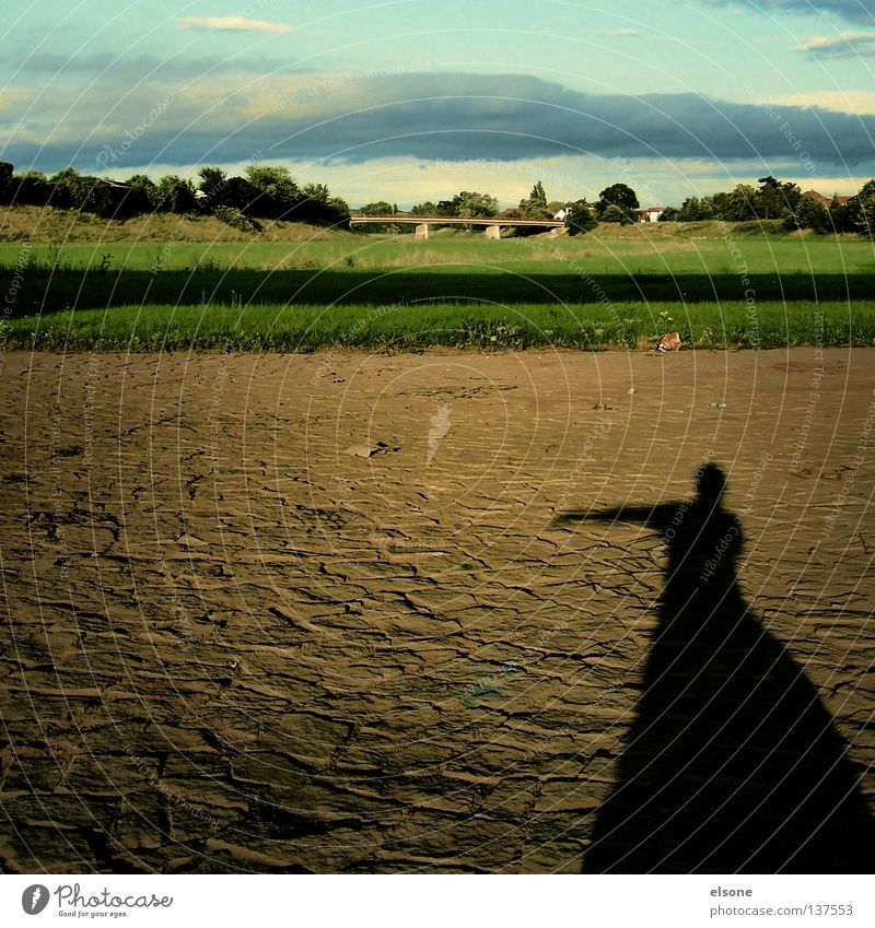 ::SCHLAFWANDLER:: schlafen Schlafwandeln Frau Kleid Wiese Abendsonne Vertrauen Konzentration elsone Mensch Schatten Natur Landschaft Brücke Wege & Pfade