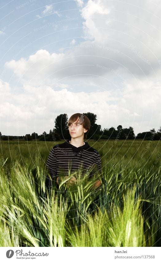 Astrein Posing Getreide schön Junger Mann Jugendliche Erwachsene Frühling Feld atmen Körperhaltung Photo-Shooting Örtlichkeit Muster Porträt Blick Halbprofil