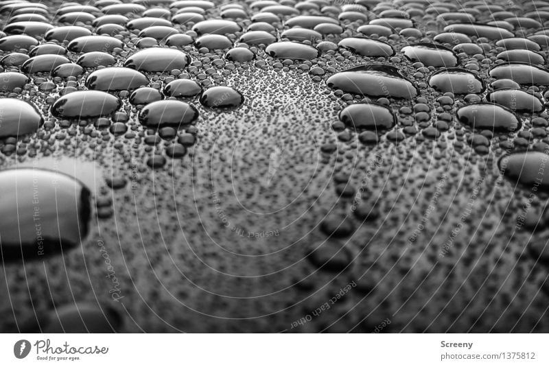 Berglandschaft Wasser Wassertropfen nass Oberflächenspannung Strukturen & Formen Schwarzweißfoto Außenaufnahme Detailaufnahme Makroaufnahme Menschenleer Tag