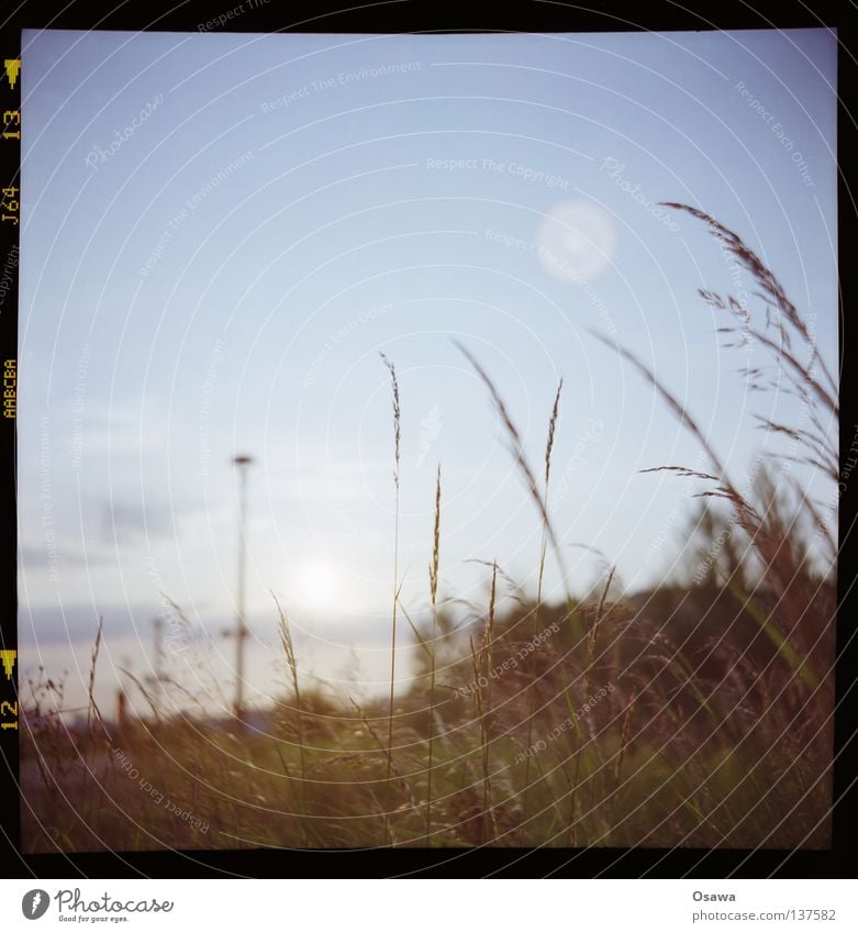 Ostkreuz 09 Lomografie Gras Halm Ähren Laterne Tiefenschärfe Dia Mittelformat Himmel 6x6