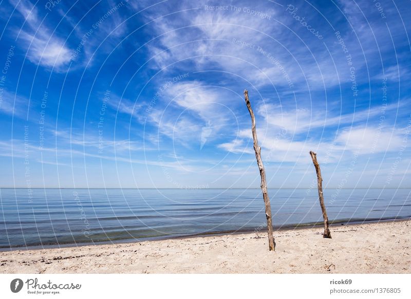 Weststrand Erholung Ferien & Urlaub & Reisen Strand Meer Sand Wasser Wolken Küste Ostsee Romantik Idylle Natur Tourismus Ostseeküste Fischland Darß