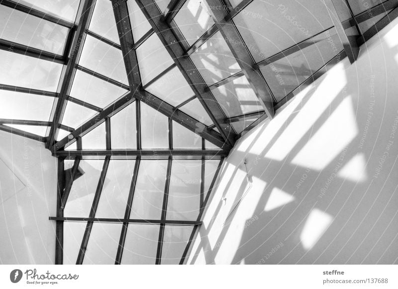 Elternhaus Licht Muster Haus Fenster Aussicht Dach Wintergarten streben chaotisch Dreieck Wand Mauer HDR schwarz weiß Detailaufnahme Schwarzweißfoto Schatten