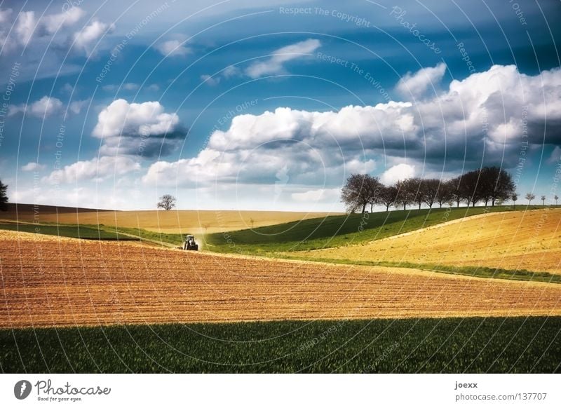 Traktor fährt auf farbintensiven Feldern mit Wolkenhimmel Ackerbau Ackerboden Landwirtschaft Baum Baumreihe Erholung grün Ernte Trekker Horizont Hügel