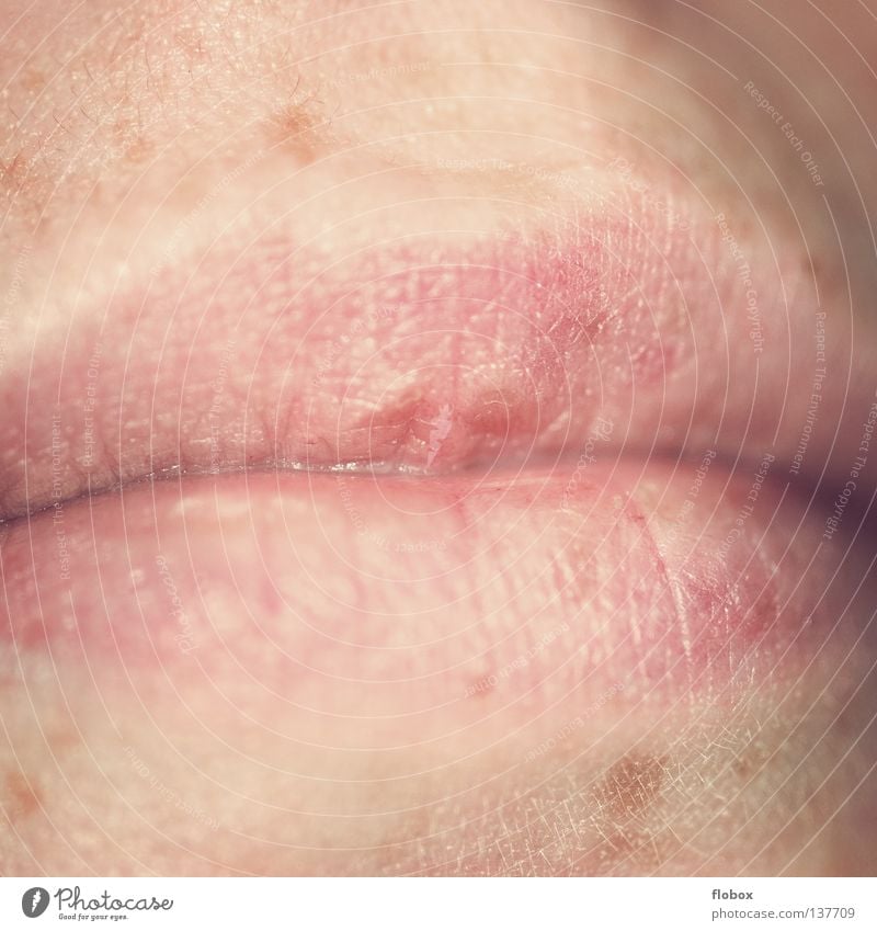 Mündchen Frau Lippen Oberlippe Unterlippe zart Organ Herpes Mund Haut Körperteile lippenherpes Leberfleck Ungeschminkt natürlich Frauenmund Detailaufnahme