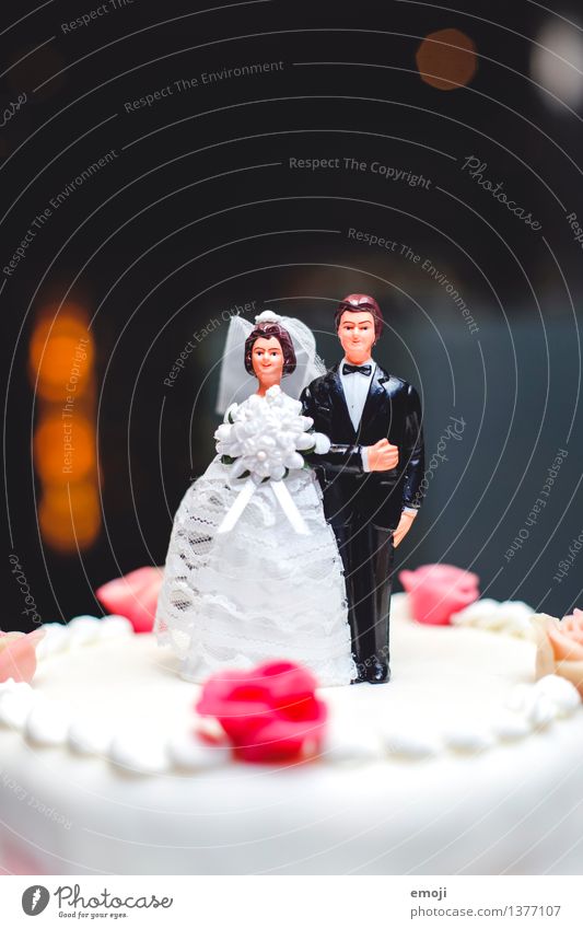 Torte Festessen Paar Partner Erwachsene 2 Mensch klein süß Hochzeitspaar hochzeitstorte Figur Farbfoto mehrfarbig Innenaufnahme Nahaufnahme Detailaufnahme