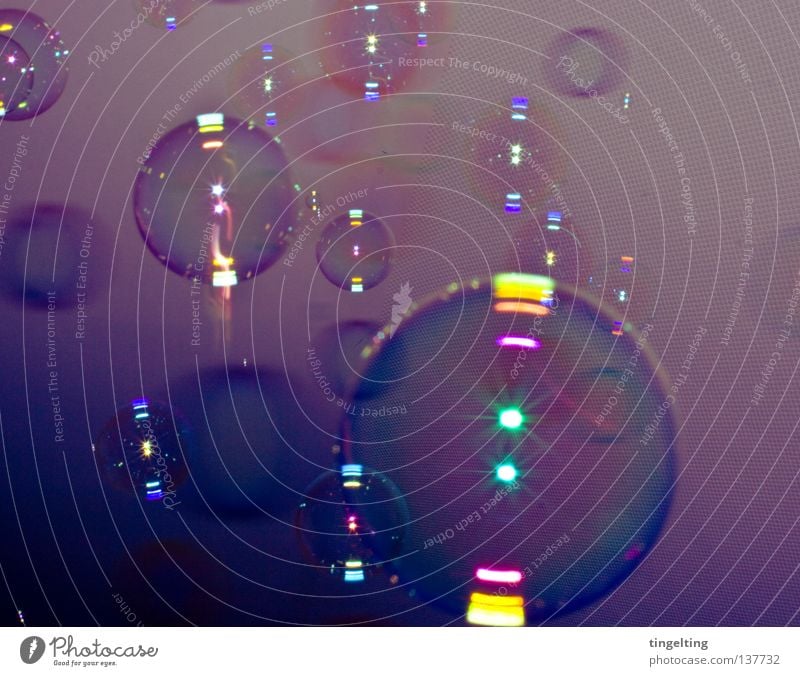 sie kommen Seifenblase violett gelb dunkel mehrere groß klein Schweben Luft leicht durchsichtig rund Blase blasen Schatten Reflexion & Spiegelung viele