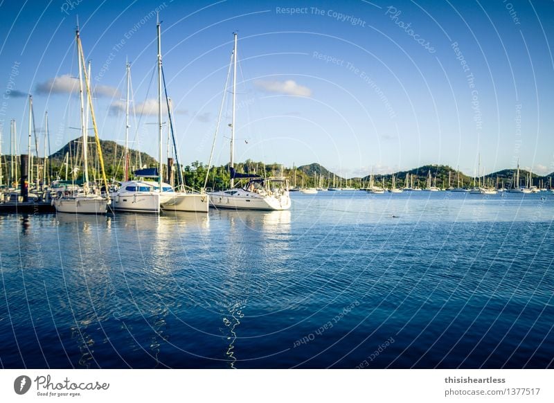 im sicheren Hafen! Ferien & Urlaub & Reisen Tourismus Ferne Sommer Sommerurlaub Sonne Wassersport Segeln Umwelt Landschaft Himmel Hügel Küste Bucht Fjord Meer