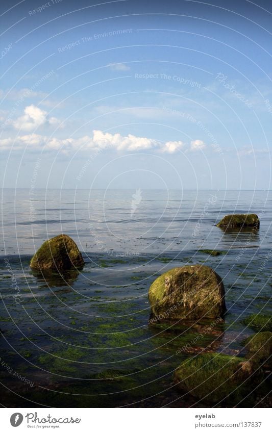 Aller guten Dinge sind 3 Wolken Sommer Meer Strand Küste See Horizont Wellen Meerwasser Gewässer Algen Wasserpflanze Ferien & Urlaub & Reisen Sonnenbad nass