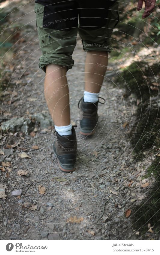 Stock und Stein wandern maskulin Mann Erwachsene Beine 1 Mensch 30-45 Jahre Natur Herbst Schönes Wetter Wald Wanderschuhe braun grün ruhig Abenteuer Bewegung