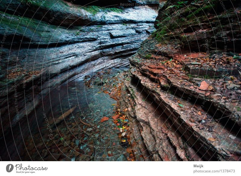 taugl Fitness Leben Zufriedenheit Erholung ruhig Freizeit & Hobby wandern Camping Berge u. Gebirge Natur Wasser Herbst Moos Felsen Schlucht Stein Abenteuer