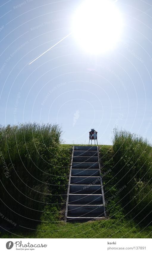 ascension Wiese grün Ferien & Urlaub & Reisen Außenaufnahme Flugzeug Sommer Physik ruhig Himmelskörper & Weltall Treppe Sonne blau Dänemark Natur Schönes Wetter