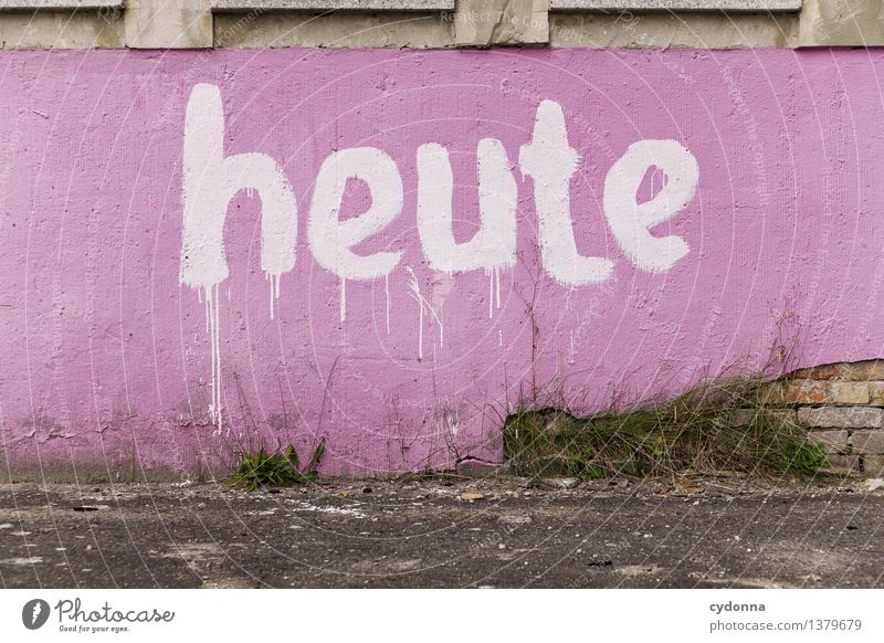 Lieber morgen? Lifestyle Stil Design Veranstaltung Bildung Arbeit & Erwerbstätigkeit Business Mauer Wand Schriftzeichen Schilder & Markierungen Graffiti Beginn