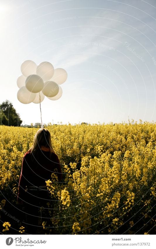 Weitblick Luftballon Rapsfeld gelb blond Sommer Travemünde weiße Luftballons Frau in Rapsfeld Frau in Feld Frau hält weiße Luftballons