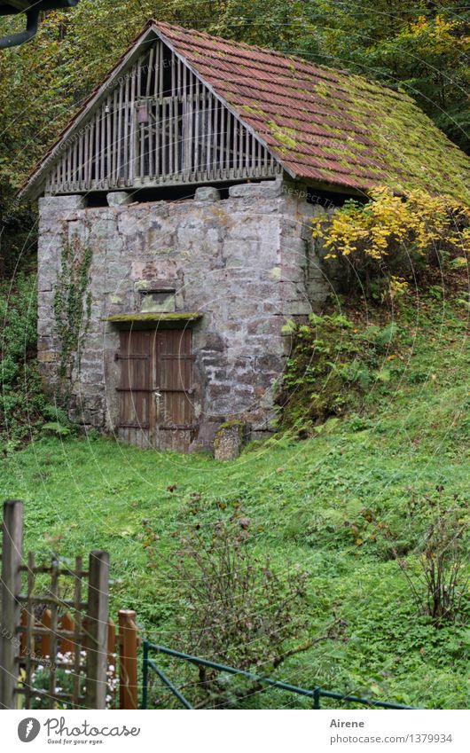 kalt | aber luftig Haus Hütte Bauwerk Gebäude Scheune Fassade Dach einfach kaputt natürlich trist grau grün Schutz Gastfreundschaft Armut Sicherheit sparsam