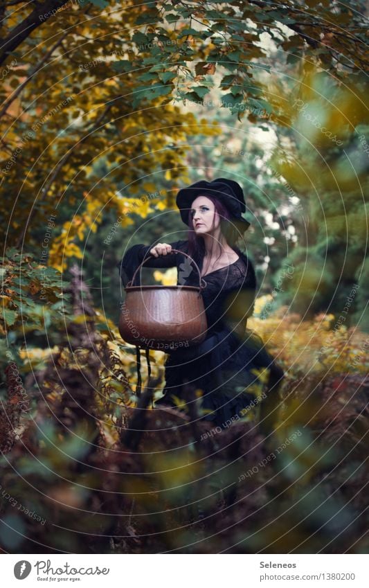 I wonder what she will brew Karneval Halloween Mensch feminin Frau Erwachsene 1 Umwelt Natur Herbst Sträucher Wald Hut Kessel Hexenkessel gruselig