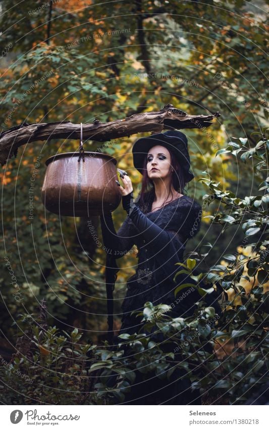 hex hex Ernährung Mensch feminin Frau Erwachsene 1 Subkultur Rockabilly Umwelt Natur Herbst Baum Wald Hut Kessel Hexenkessel kochen & garen Ast Karnevalskostüm