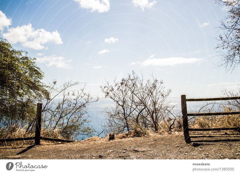 Ausblick aufs Meer Umwelt Landschaft Erde Himmel Wolken Sommer Schönes Wetter Baum Sträucher blau braun Zaun Guadeloupe Aussicht Farbfoto Gedeckte Farben